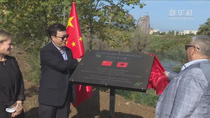 阿尔巴尼亚举行植树活动庆中国国庆