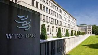 WTO裁决：允许欧盟对40亿美元美国商品征税