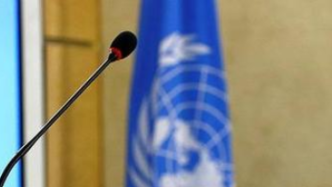 联合国人权理事会关注针对非洲人后裔的种族歧视和警察暴力