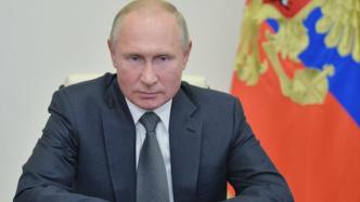 普京：俄罗斯不会干涉美国大选