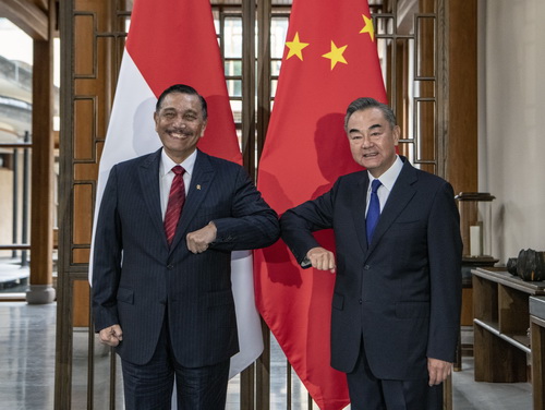 王毅同印尼总统特使卢胡特举行会谈