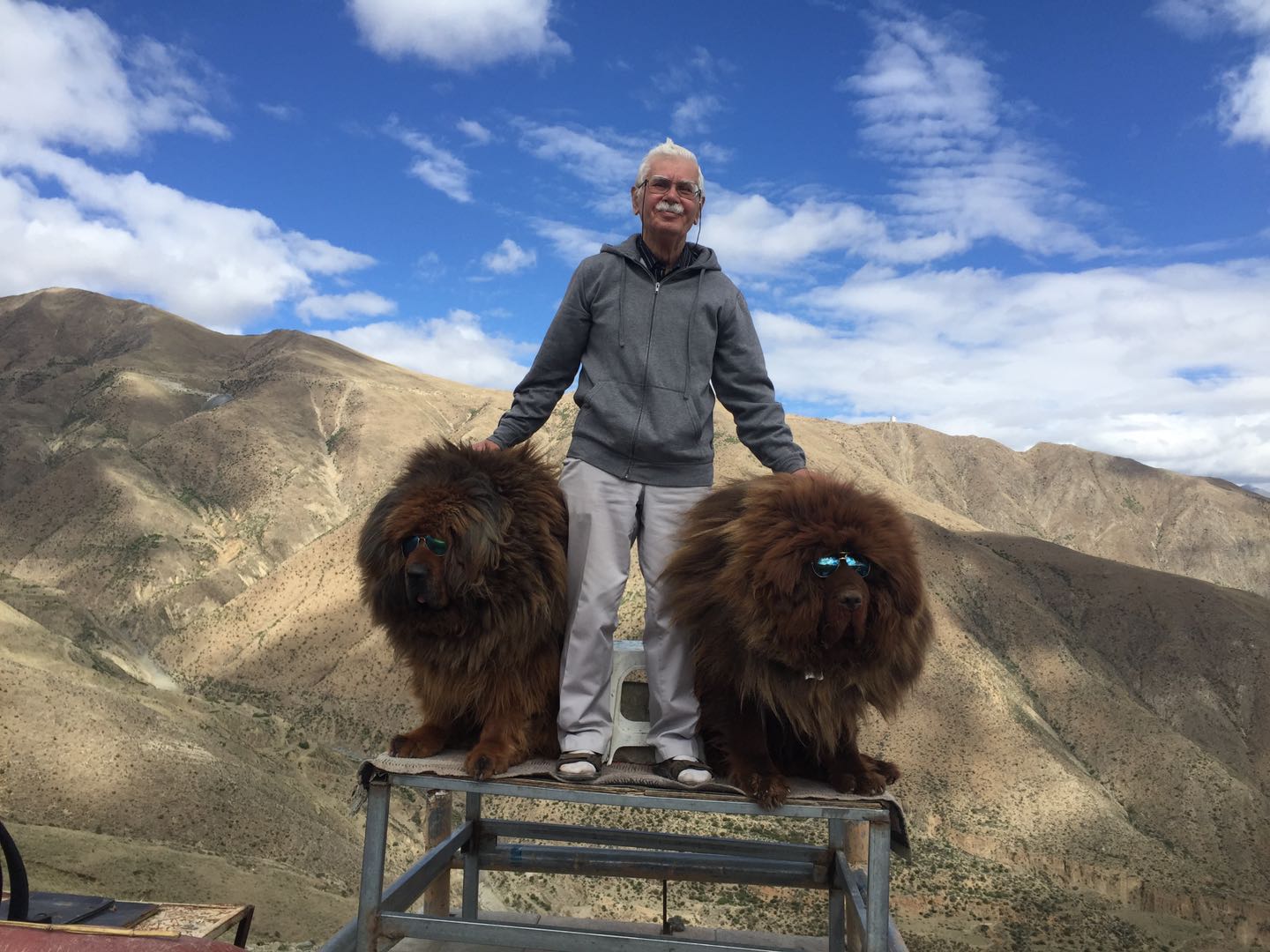 2019年，霍鲁日在拉萨旅行途中与藏獒合影。