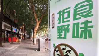 中国拟修改野生动物保护法，强化源头防控重大公共卫生风险