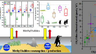 首次发现！企鹅、海豹影响南极上空的“臭氧洞”