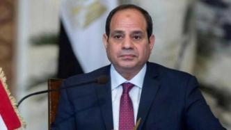 埃媒：埃及总统批准与希腊达成的海上边界协议