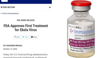 全球首个埃博拉病毒治疗方法“银马泽伯”获批