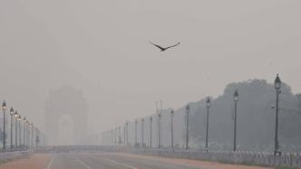 风力减弱后印度首都空气质量再度急剧恶化，专家：或加剧疫情