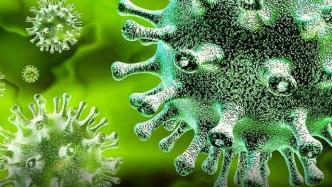 《科学》重磅研究：近200名学者联合找到冠状病毒共同弱点