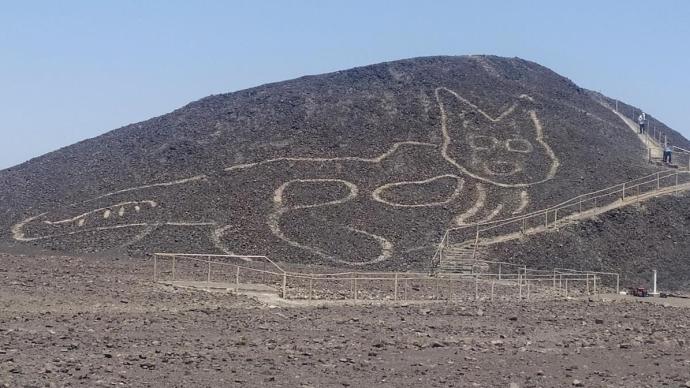 秘鲁发现37米猫形地画，距今2000多年