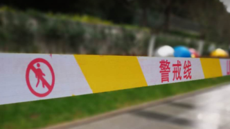 湖南平江32岁男子将母亲杀害后自首，警方通报：有精神病史