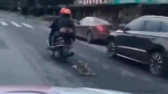 男子骑摩托车将大狗拖行两公里，称被狗咬后泄愤