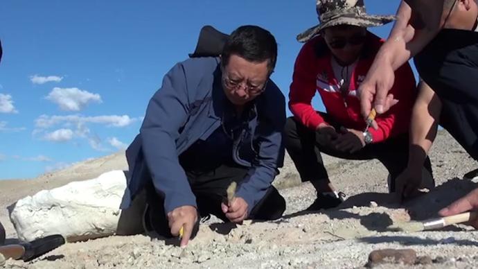 化石里的远古内蒙古：已发现曾有36种恐龙