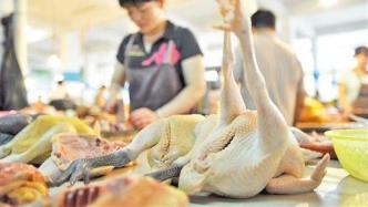 农业农村部：中国鸡肉养殖陷入亏损，一只肉鸡平均亏3毛钱