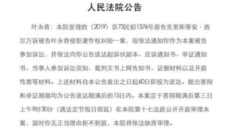 “ 叶永青抄袭”事件一年后，法院公告要求其出庭