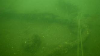 青岛胶州湾外围海域水下考古确认一处一战时期的大型沉舰遗址