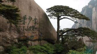 黄山景区官方辟谣：“迎客松为塑料树、假树”等系不实信息