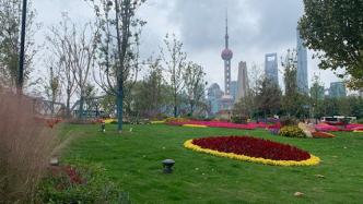 上海已完成绿道建设1093公里，赏景健身遛娃可以约起来了