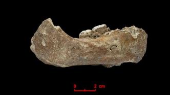 中国考古重大成果刊发：青藏高原溶洞遗址现丹尼索瓦人DNA