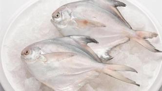 厄瓜多尔冷冻鲳鱼内包装检出新冠阳性