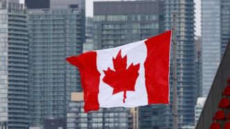 加拿大计划未来3年引入120万移民，填补劳动力空缺促经济