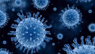 中国专家组与世卫组织国际专家组就新冠病毒溯源开展视频交流