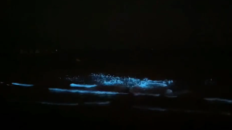 葫芦岛出现罕见荧光海，水面变璀璨星空