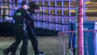 外媒：加拿大一男子持武士刀行凶致2死5伤