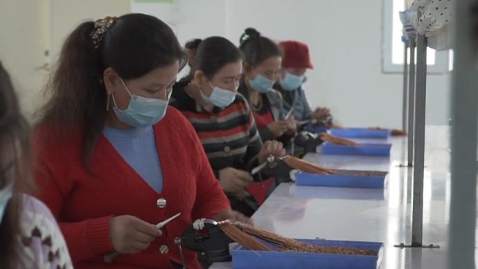 新疆阿克陶县：村里来了电子厂，妇女也能挣钱
