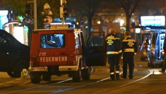 维也纳袭击事件致一名奥籍华人身亡，另一名中国公民轻伤
