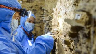 青藏高原溶洞提取DNA：追踪神秘的丹尼索瓦人