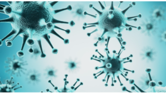 丹麦血清研究所正在研究水貂变异新冠肺炎病毒