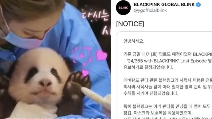 BLACKPINK方回应接触熊猫：按专业人士指导防疫严格