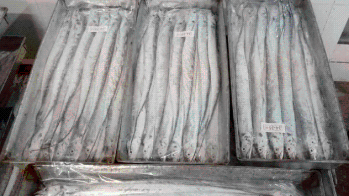 警惕| 一地农贸市场冻带鱼检出阳性!