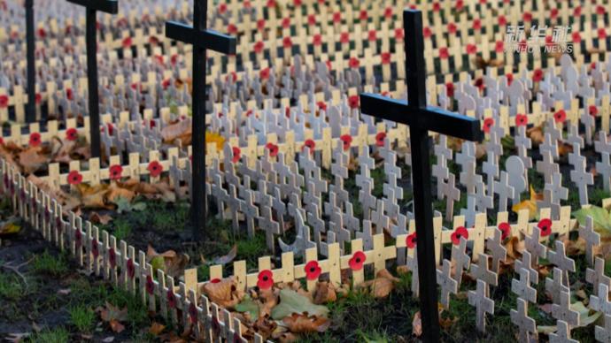 虞美人花寄哀思，英國舉行悼念一戰(zhàn)陣亡將士活動