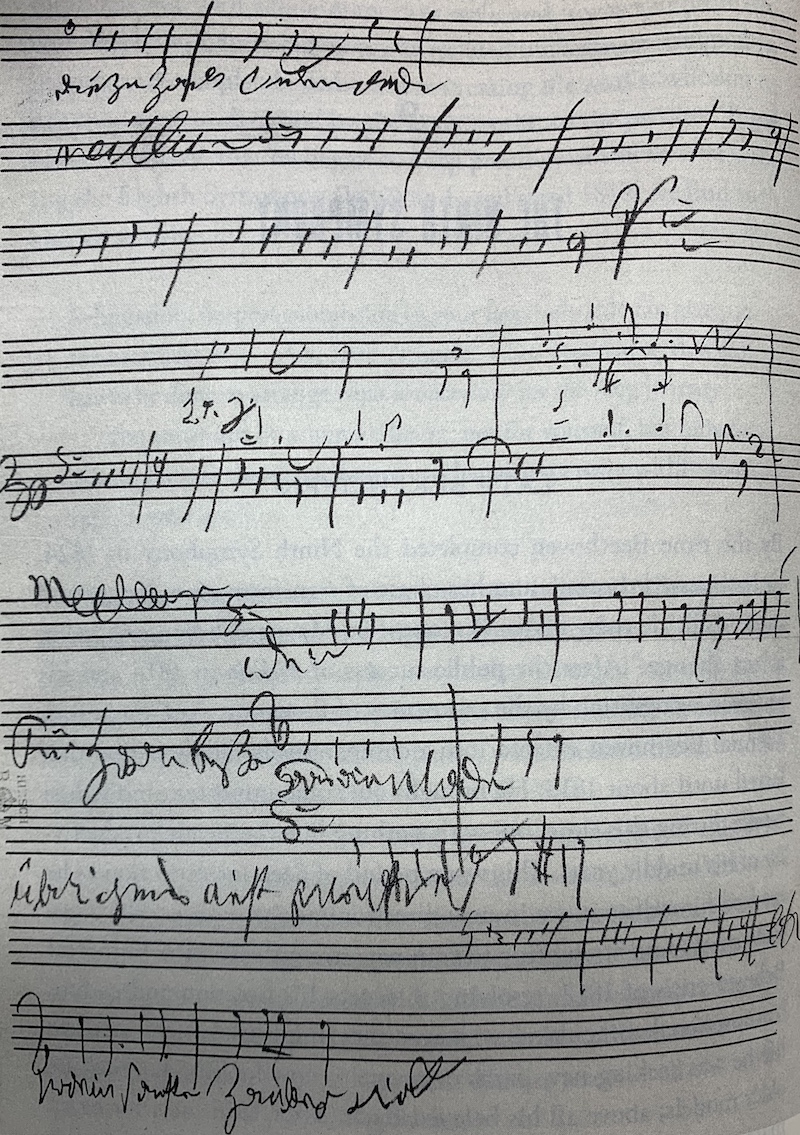 贝多芬《第九交响曲》“欢乐颂”主题草稿