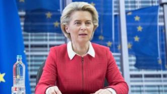 欧委会主席与欧洲多国领导人举行视频会议，共商反恐问题