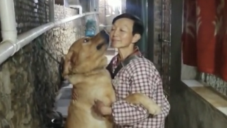 重庆一老人卖房收养上千只动物引质疑：6次搬家，每月花8万