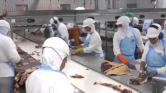 武汉：巴西进口牛肉标本检出核酸阳性，未流入市场