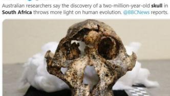 外媒：南非发现200万年前头骨化石，提供人类进化新信息