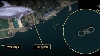 外媒：卫星照片显示朝鲜或拥有“海豚部队”