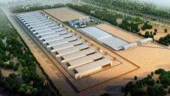 亚洲最大蛋鸡场明年在沪竣工，包括一座4000尾鳄鱼养殖场