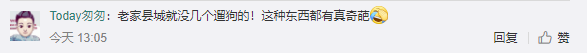 云南昭通威信县规定城区禁止遛狗，违反三次捕杀 伟光汇通官网