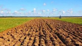 国办：坚决防止耕地“非粮化”倾向，完善粮食生产支持政策