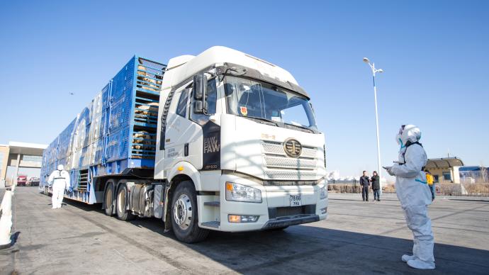 羊來了！首批加工后的12000只羊抵達武漢