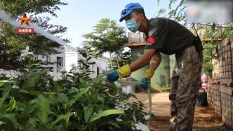 中国蓝盔自制“滴灌”设施，种出沙漠绿洲