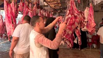 埃及计划拨款41亿埃镑发展肉牛养殖产业