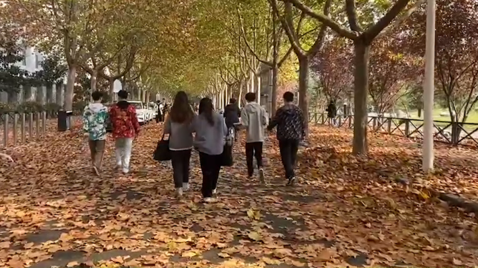 落葉鋪滿校園道路，女生：有電影場(chǎng)景的感覺(jué)