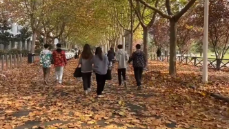 落葉鋪滿校園道路，女生：有電影場景的感覺