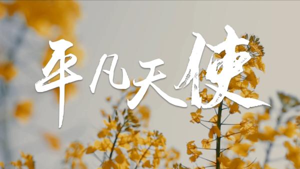 感动暖心mv致敬威远每一位平凡天使