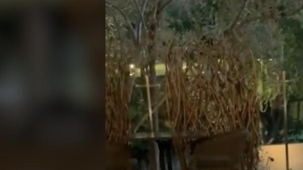 硅谷高管餐厅辱骂亚裔:特朗普会收拾你们